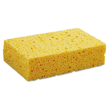 Medium Sponge 24/CASE