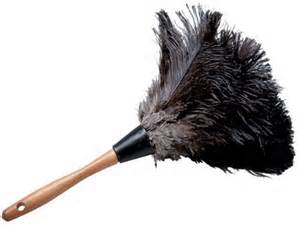 Dusters and Dustpans